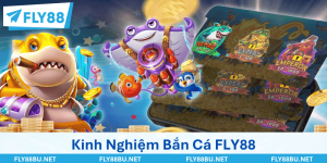 Bật Mí Kinh Nghiệm Bắn Cá FLY88 Chinh Phục Mọi Bàn Chơi