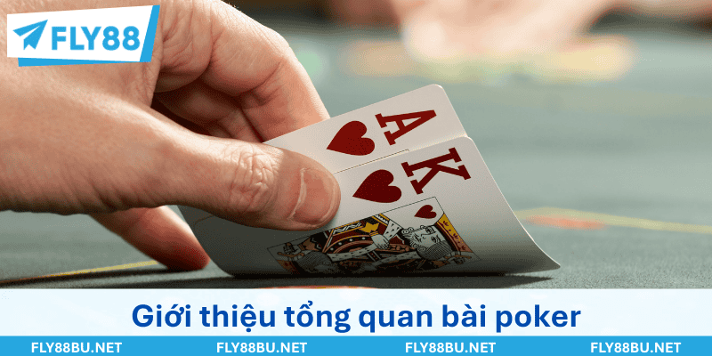 Giới thiệu tổng quan bài poker