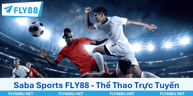 Saba Sports FLY88 - Thể Thao Trực Tuyến Đỉnh Nhất 2026